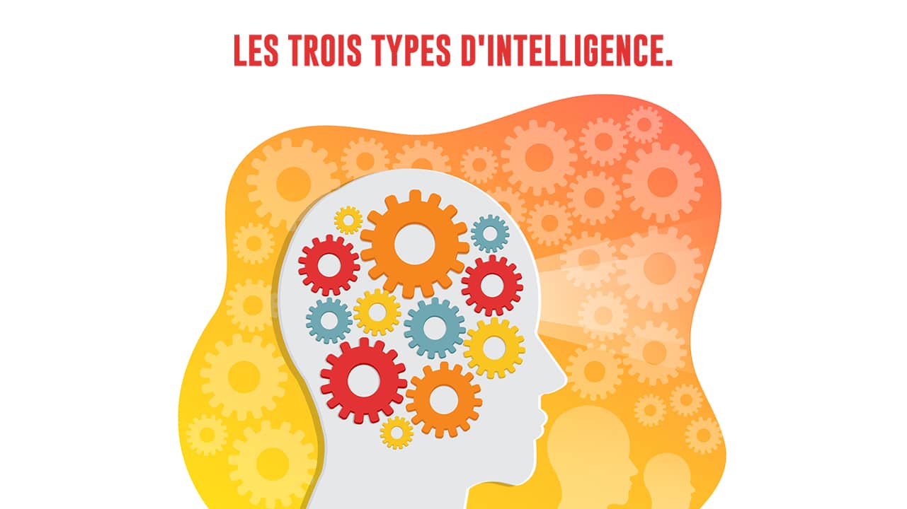 trois-types-intelligence-Edunov