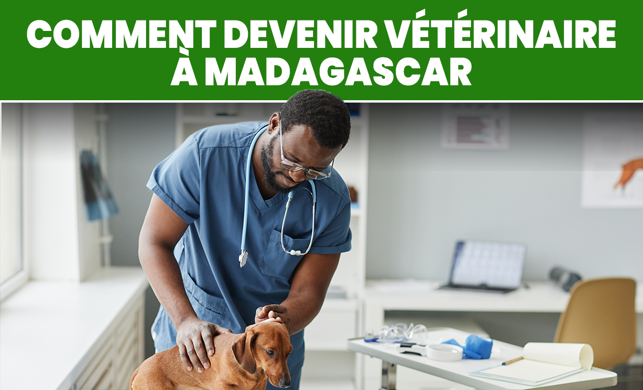 Comment-devenir-veterinaire-a-Madagascar